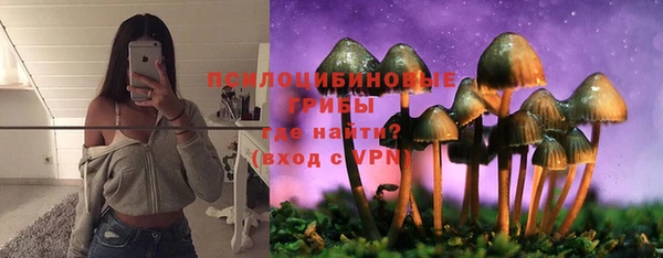 винт Вяземский
