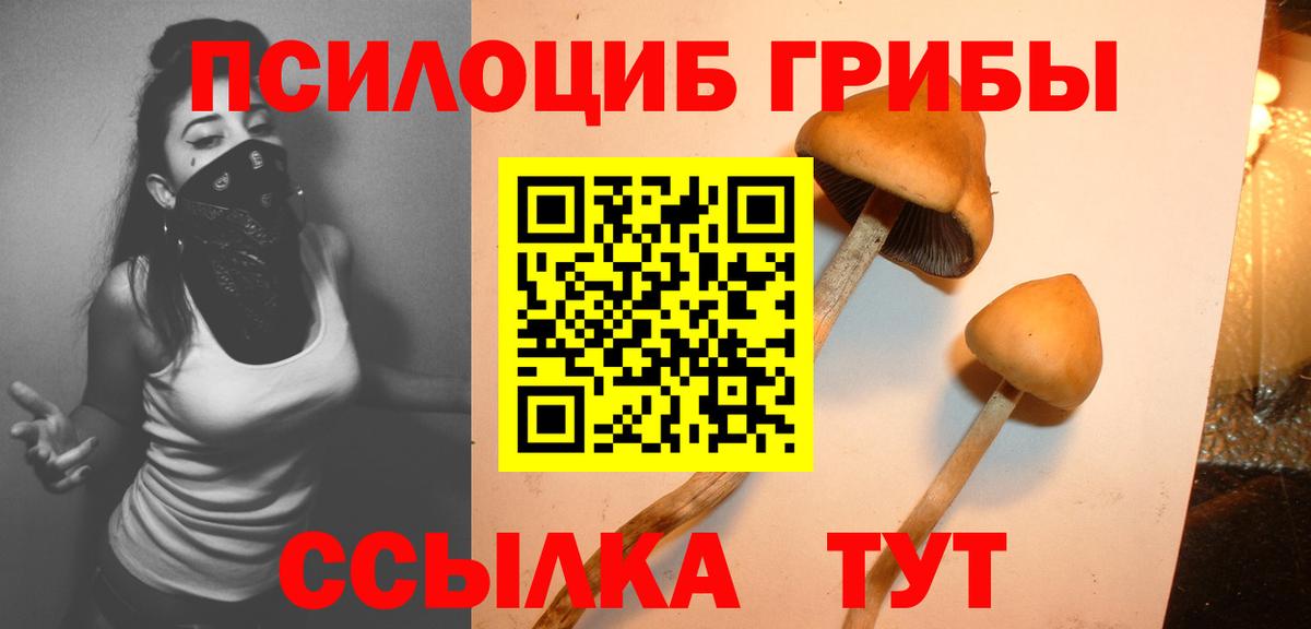 Псилоцибиновые грибы Psilocybe  Вход с VPN  Муром  Псилоцибиновые грибы мухоморы 